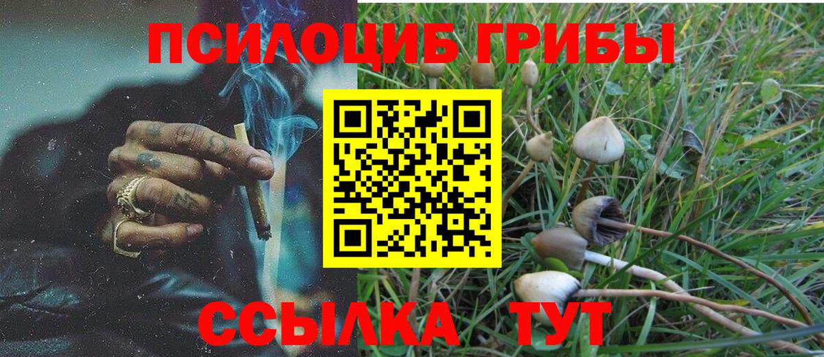 Псилоцибиновые грибы GOLDEN TEACHER  Вход с VPN  Галлюциногенные грибы Cubensis  Богородск 